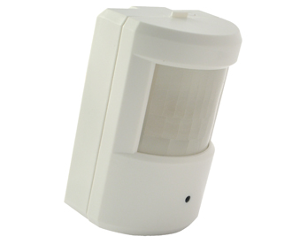 Covert/Hidden Colour CCD Camera in PIR ADL-N7